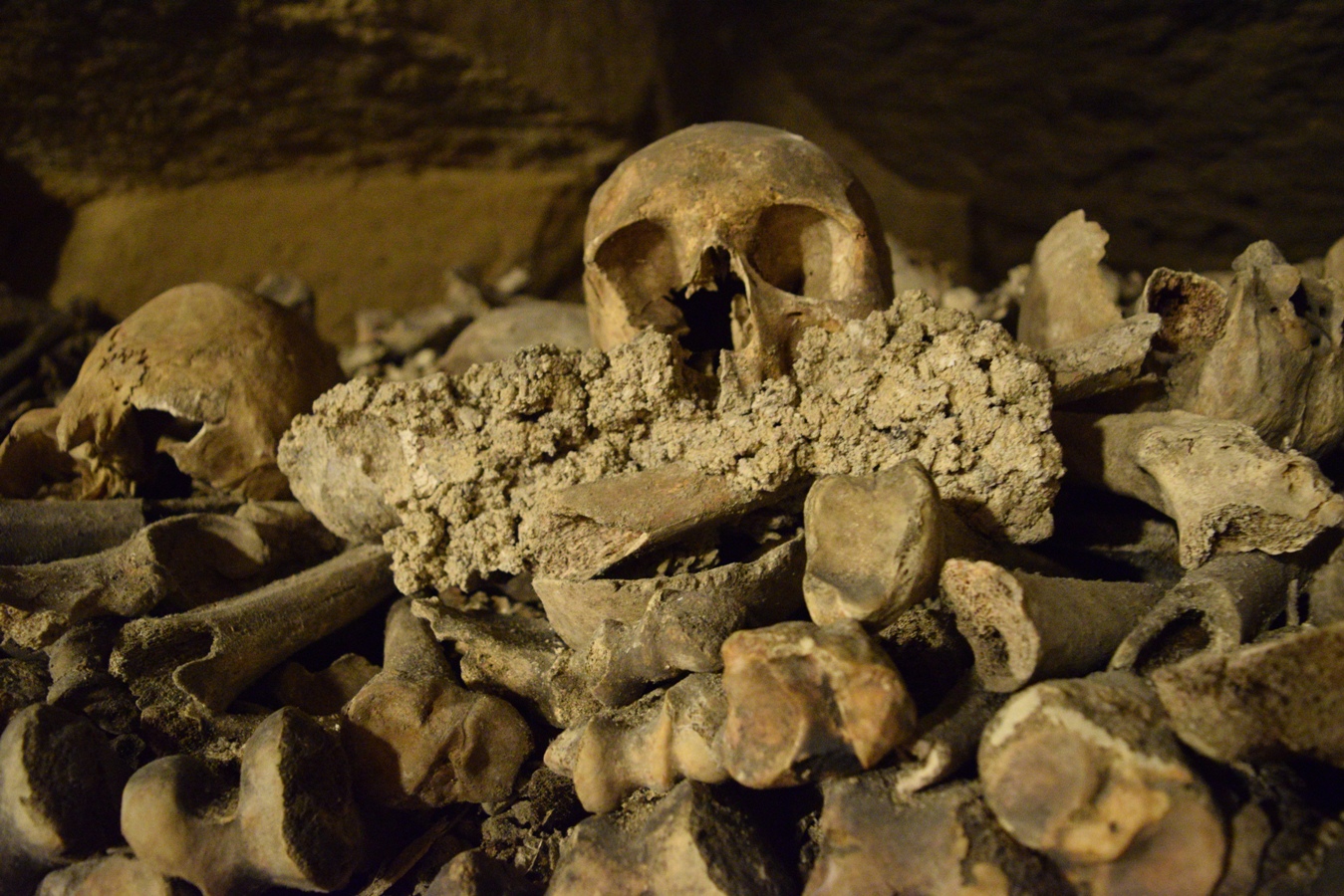 Photo diary: Catacombs of Paris | The Cheerful Wanderer
