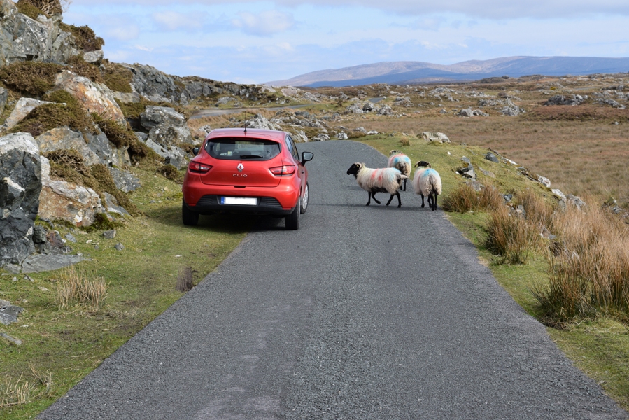 How much does one week roadtrip in Ireland cost? | The Cheerful Wanderer