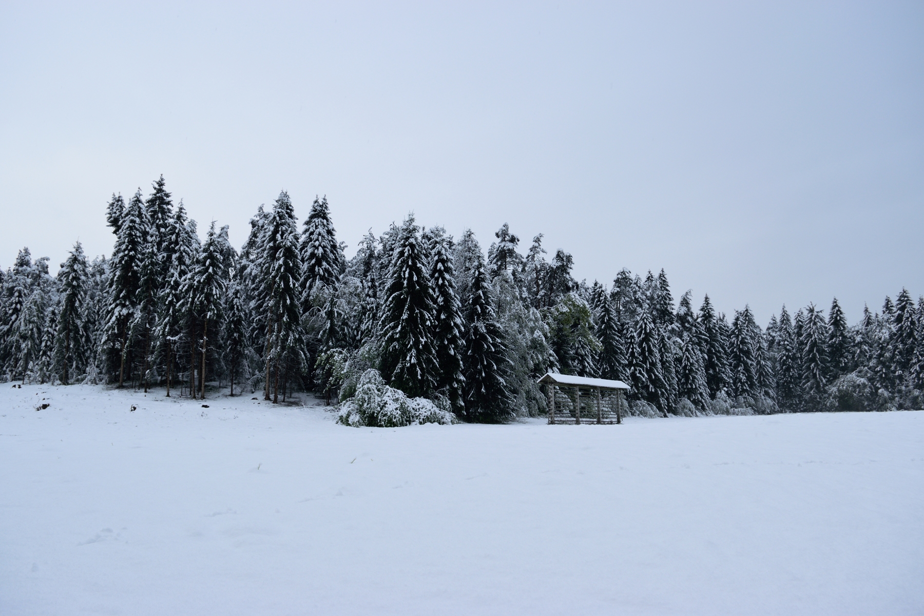 Snowy postcards from Slovenia | The Cheerful Wanderer