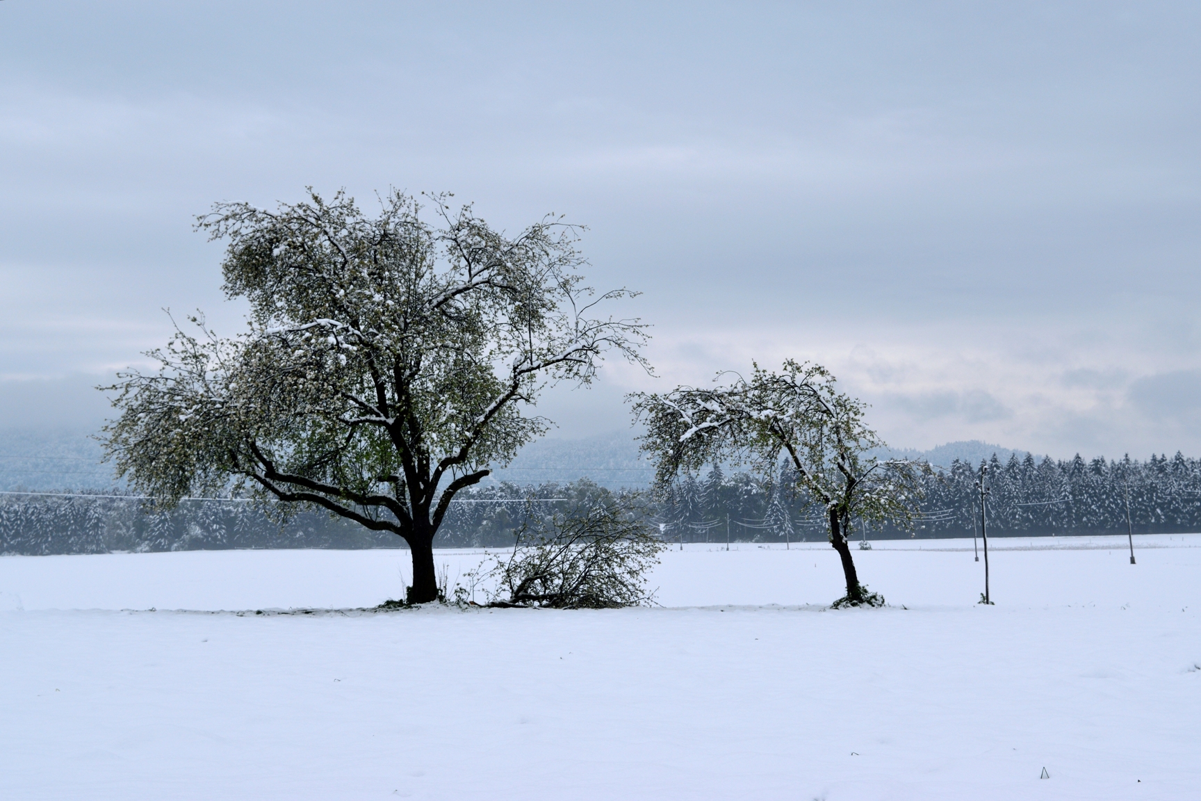 Snowy postcards from Slovenia | The Cheerful Wanderer