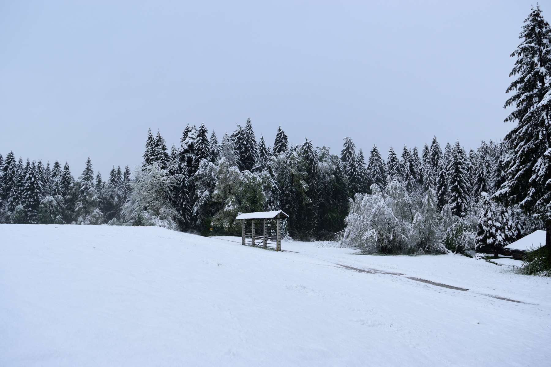 Snowy postcards from Slovenia | The Cheerful Wanderer