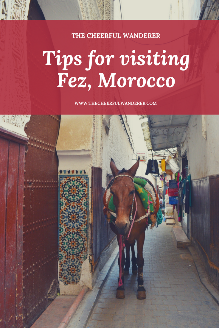 Tips for visiting Fez, Morocco | The Cheerful Wanderer