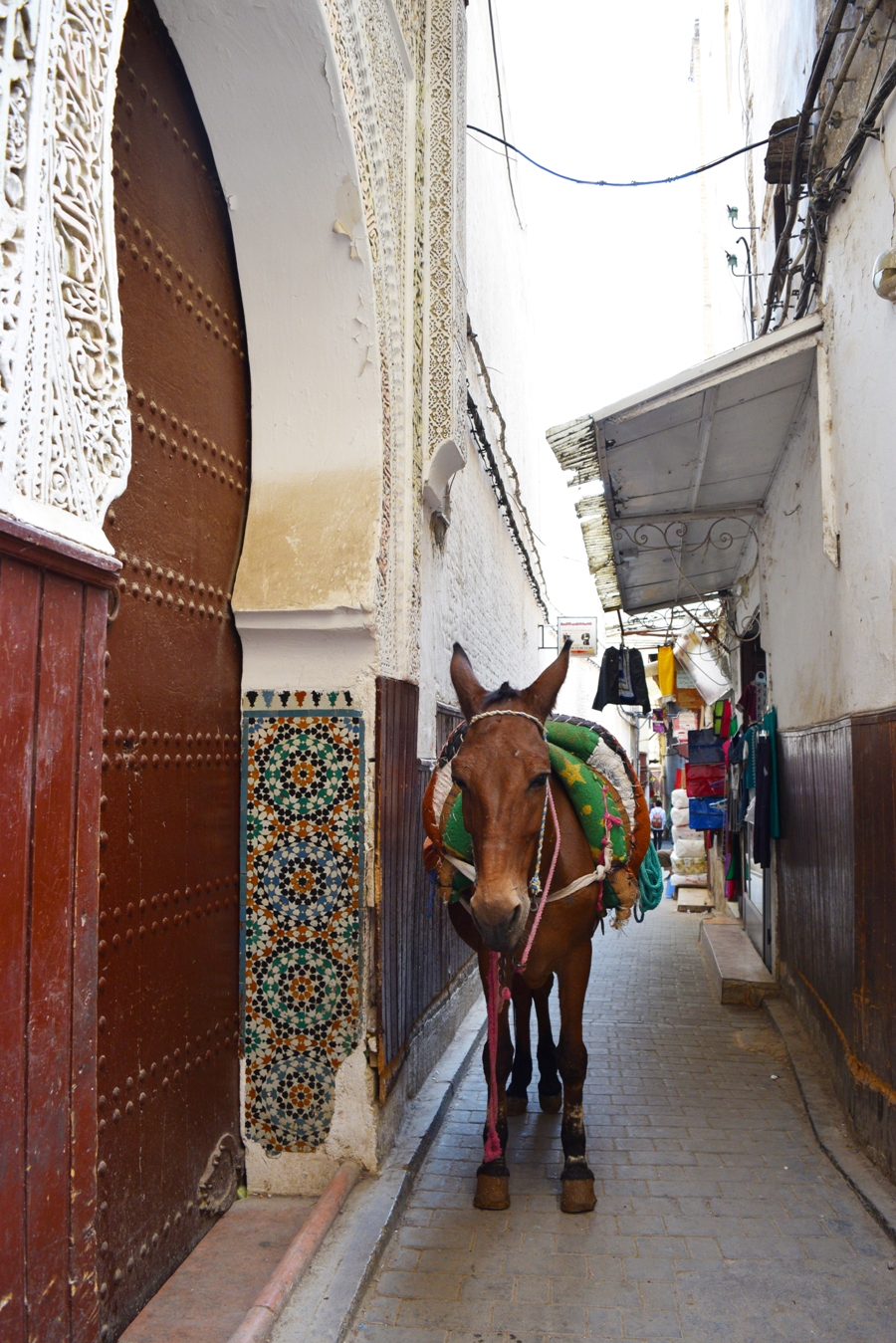 Tips for visiting Fez, Morocco | The Cheerful Wanderer