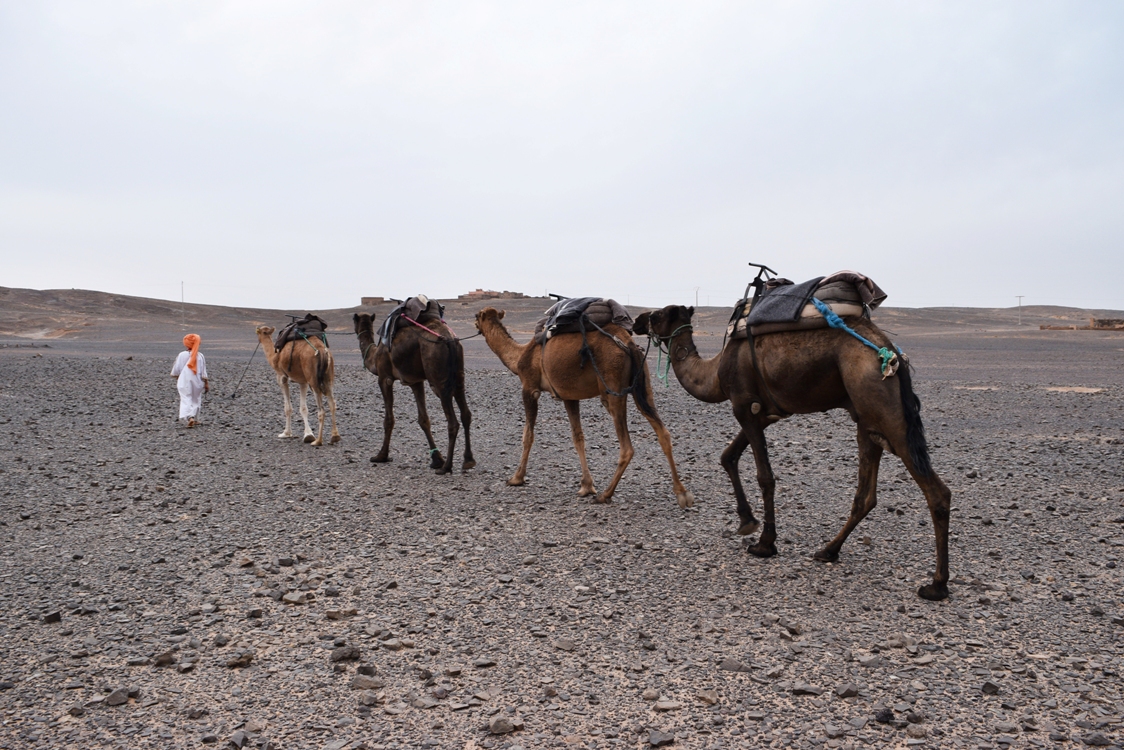 Morocco: A Guide to Glamping in the Sahara Desert | The Cheerful Wanderer