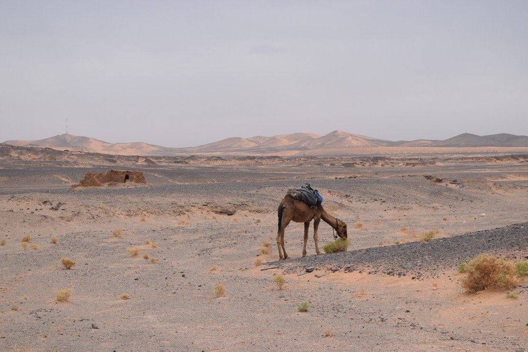 Morocco: A Guide to Glamping in the Sahara Desert | The Cheerful Wanderer