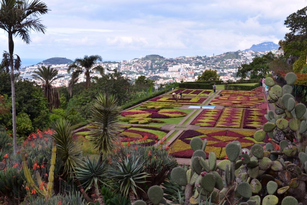 24 Photos to Inspire You to Visit Madeira Island | The Cheerful Wanderer